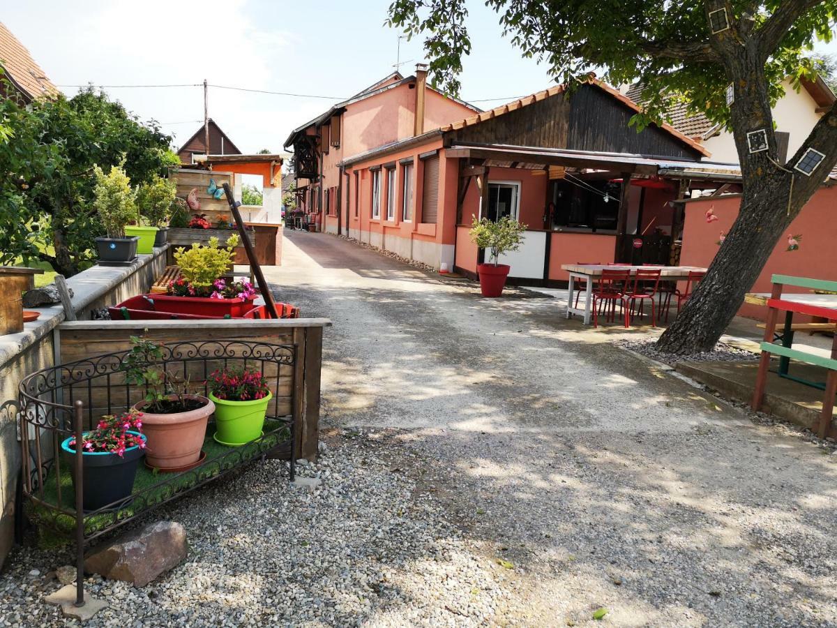 Gites & Camping On The Route Des Vins 贝尔盖姆 外观 照片
